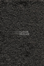 Ковролин AW Devotion 97 фото 1 | FLOORDEALER